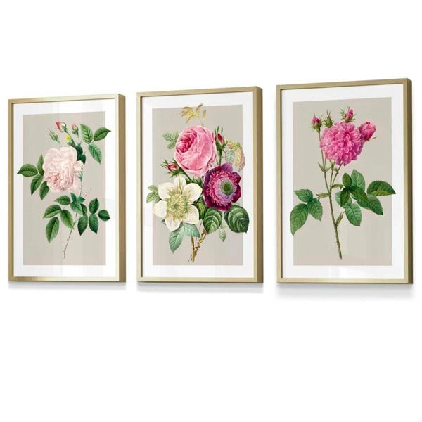 Artze Wall Art Vintage Pink and White Roses Set of 3 Framed Prints