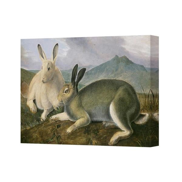Benjamin Tate Design Two Rabbits In Meadow Canvas Wall Art Print CANVAS2597 For Home Decor