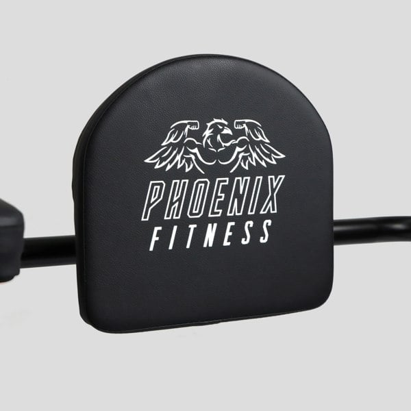 Phoenix Fitness Deluxe Pull Up Rack