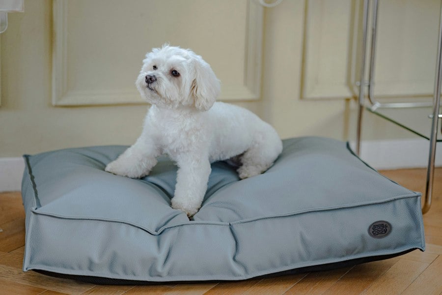 Snug and Cosy Pets Monza Lounger two colours