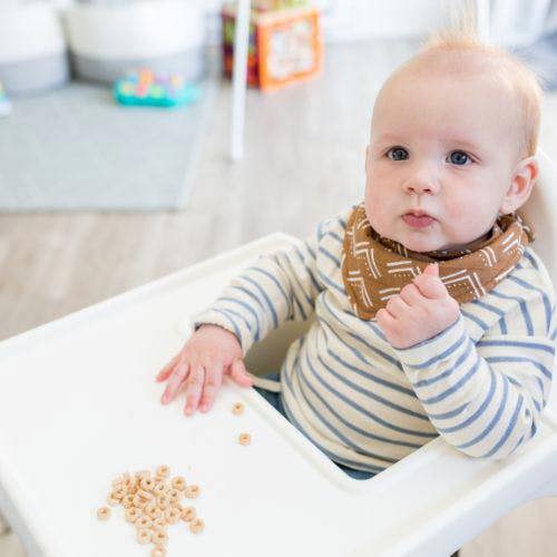 Lulujo - Bandana Bib - Mudcloth / Black Bird - 2 Pack