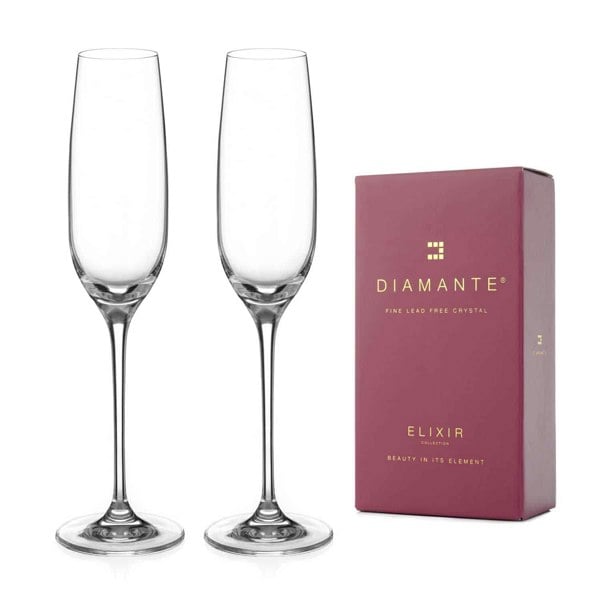 Diamante Moda Champagne Flutes - Set of 2