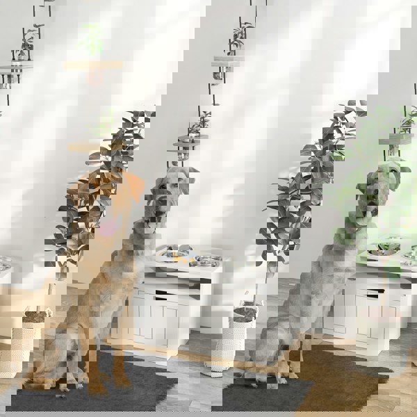 D08-064V00WT