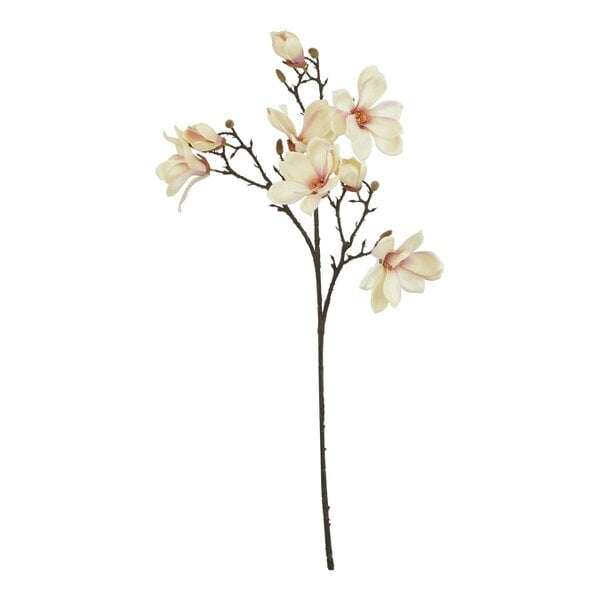 Wyld Haus Set of 3 Artificial Flowers Pale Apricot Magnolia Stems