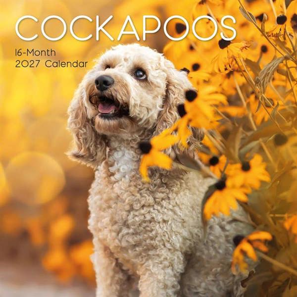 Cockapoos Calendar 2027, Wall Calendars, Month To View, Dogs, Gift