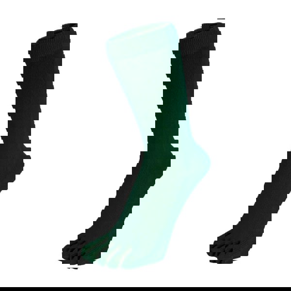 t4option1_1
