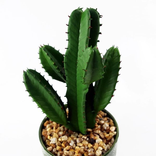 Leaf 23cm Artificial Cactus with Green Ceramic Planter