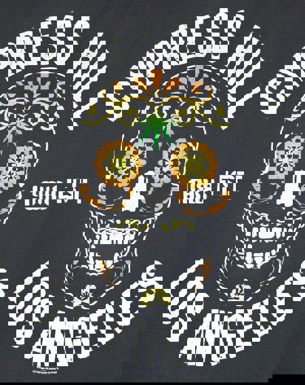 Amplified Clothing Mens Grey Cypress Hil Short Sleeved T-Shirt