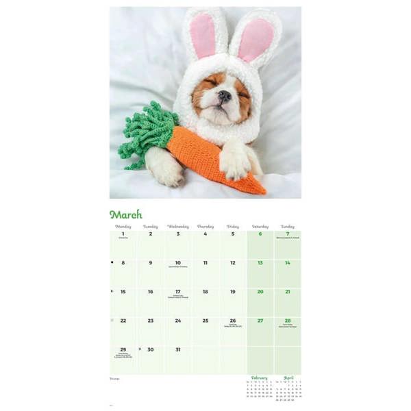 Dogs in Disguise Calendar 2027, Wall Calendars, Month To View, Humour, Gift