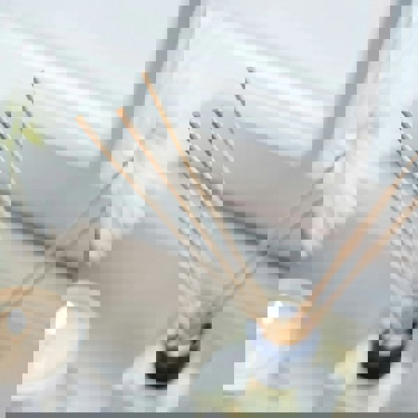 Revelation Reed Diffuser - Face Matters Skincare