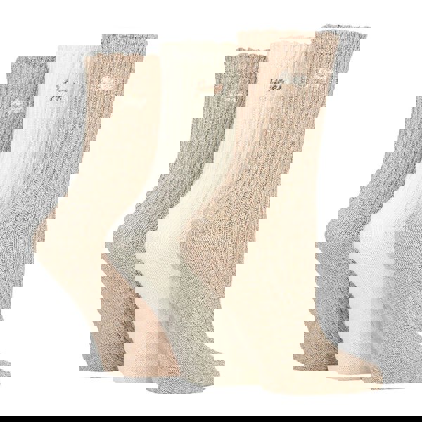 t4option1_2