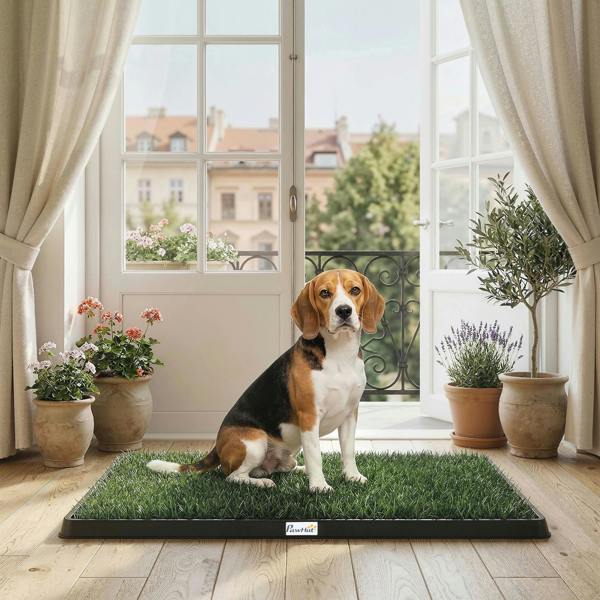 Dog Toilet