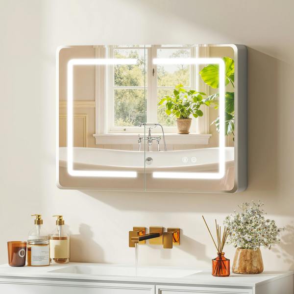 Mirror Cabinet