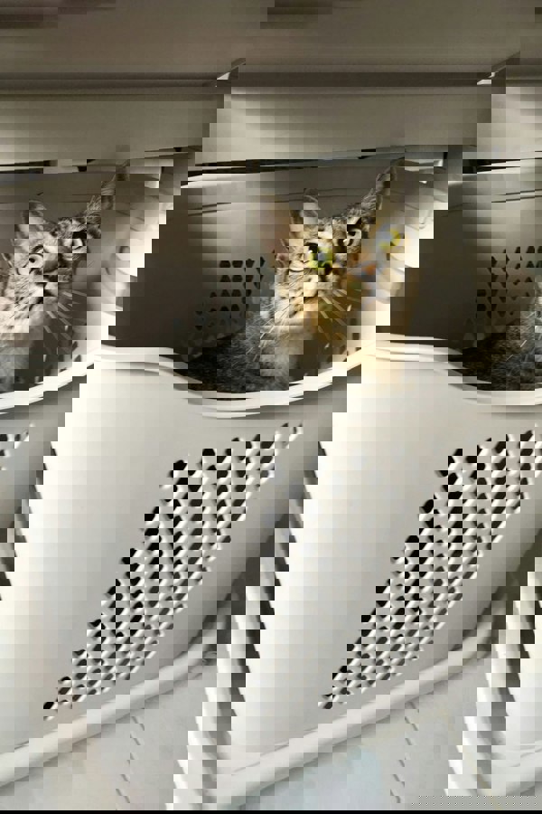 Living and Home 2 Compartments Laundry Basket Bathroom Clothes Storage on Wheels