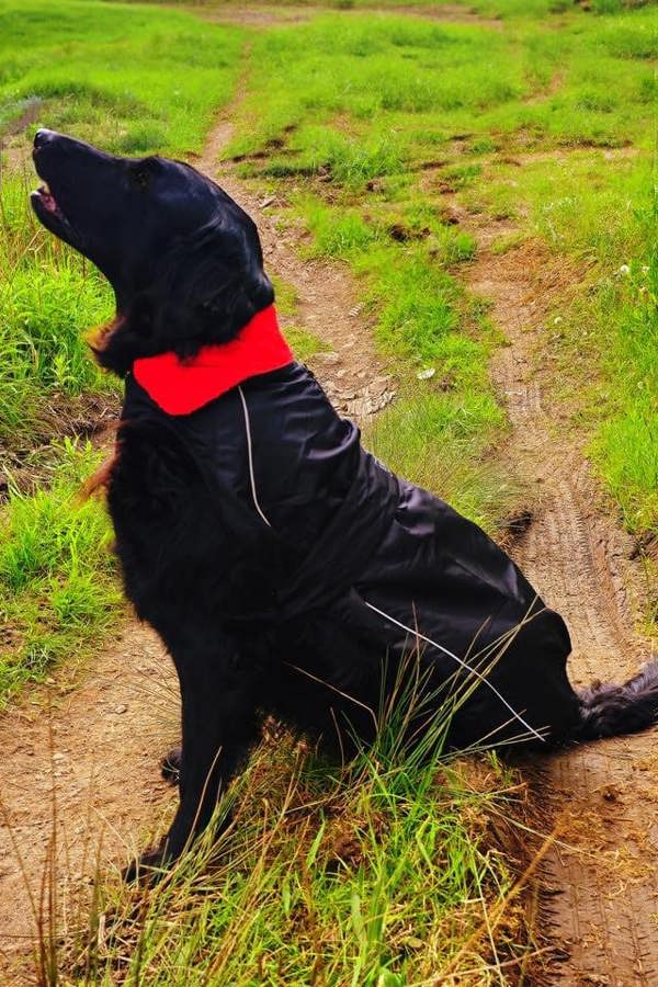 Waterproof Dog Jacket – Fleece-Lined, Reflective, Adjustable Fit - Optimum