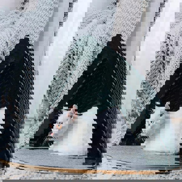 Accordion Pet House-Weilai Concept-Weilai Concept