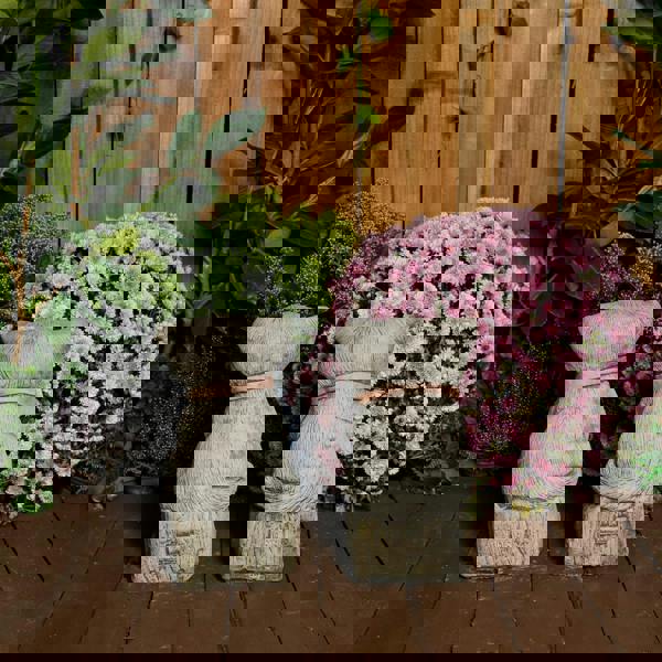 Cranky Cats Pair Stone Cast Garden Cat Statues Set