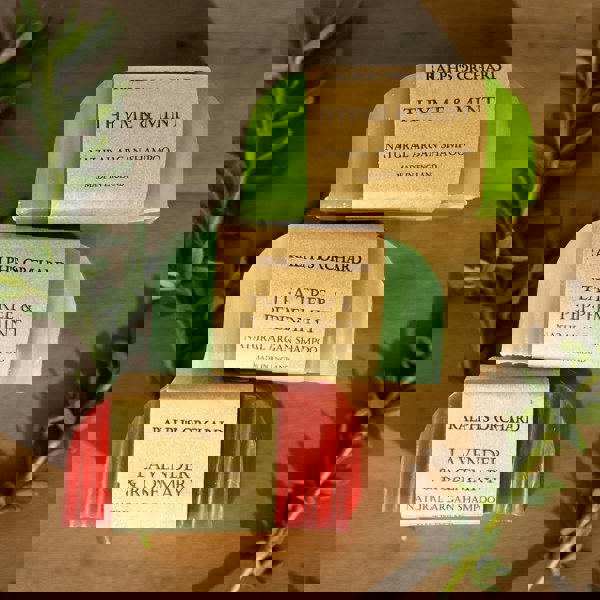 Argan Solid Shampoo Bars