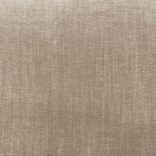 Braga fabric close-up in Bamboo