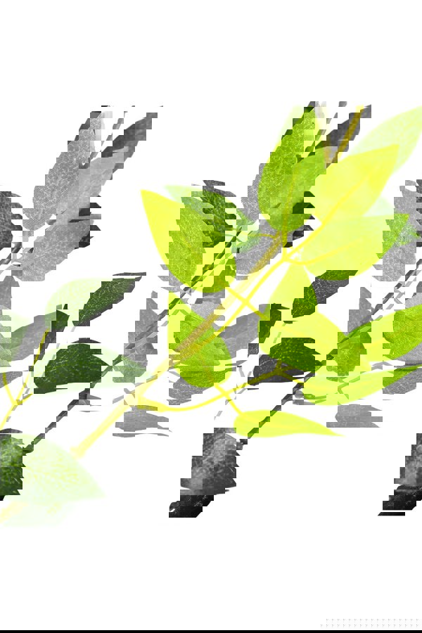 Living and Home 190cm Hanging Artificial Wisteria Garland Fake Silk Flowers Greenery Vine