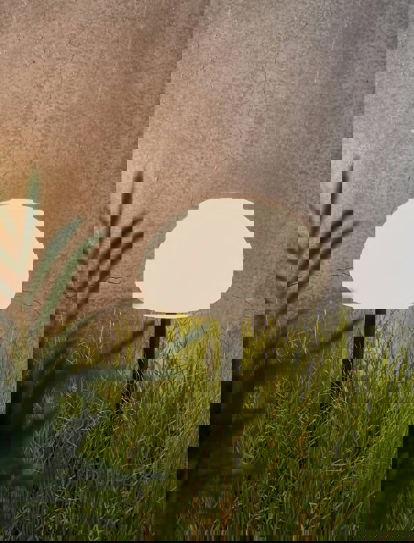 Nordlux Sponge Spike | Battery light | White