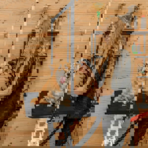 Monstershop White Hydraulic Grooming Table - Black Table Top