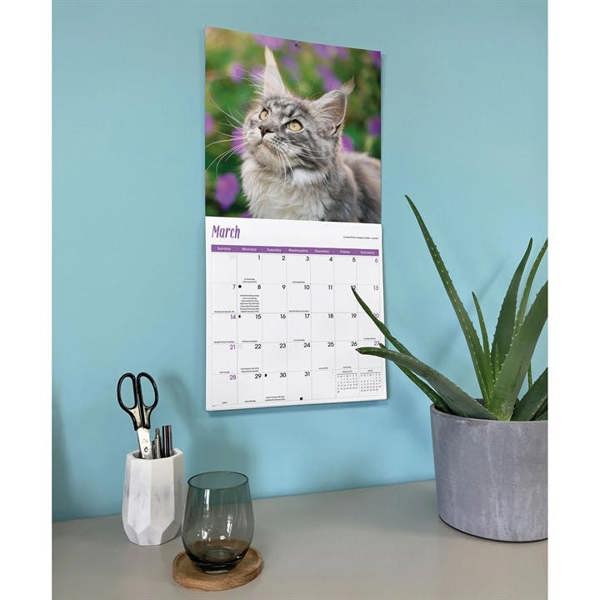 Maine Coon Cats Calendar 2027, Wall Calendars, Month To View, Cats, Gift