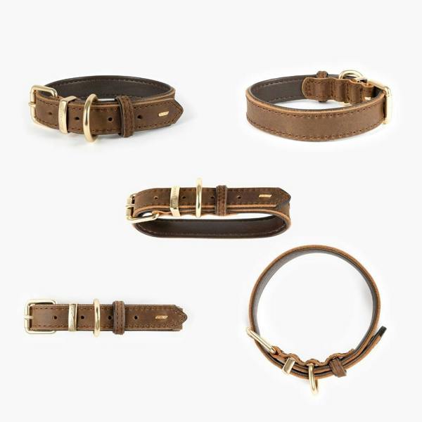 EzyDog Oxford Leather Classic Dog Collar in Brown