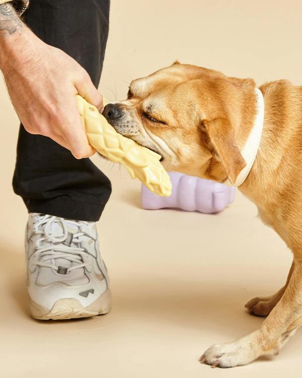 Barc London Pineapple Shaped Squeaky Dog Toy