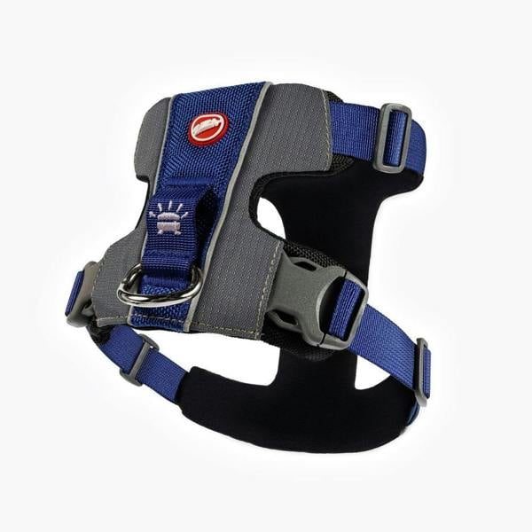 EzyDog X-Link Dog Harness in Blue