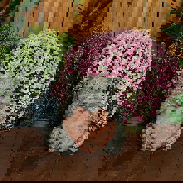 Cat with a Big Heart Stone Cast Garden Cat Ornament