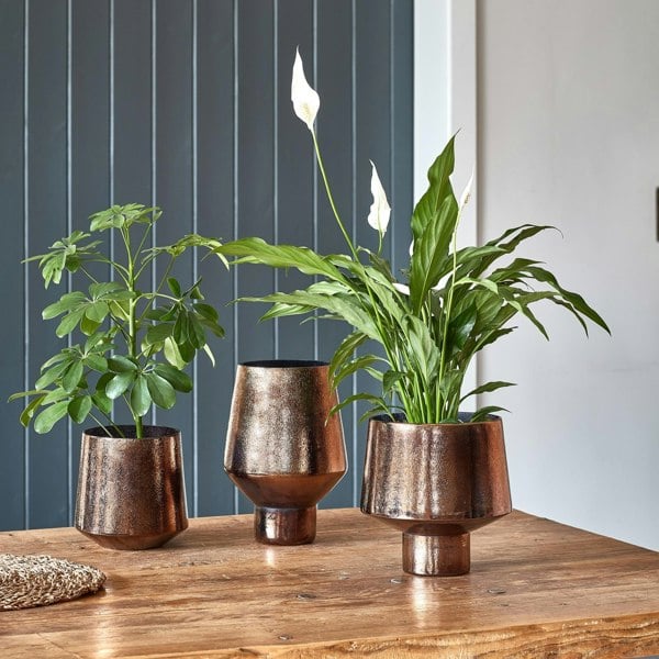 #color_metallic-bronze