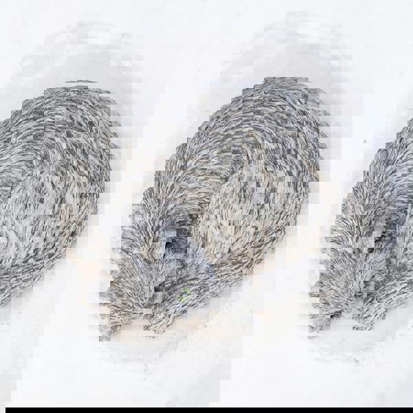 Persian Cat Stone Cast Garden Ornament