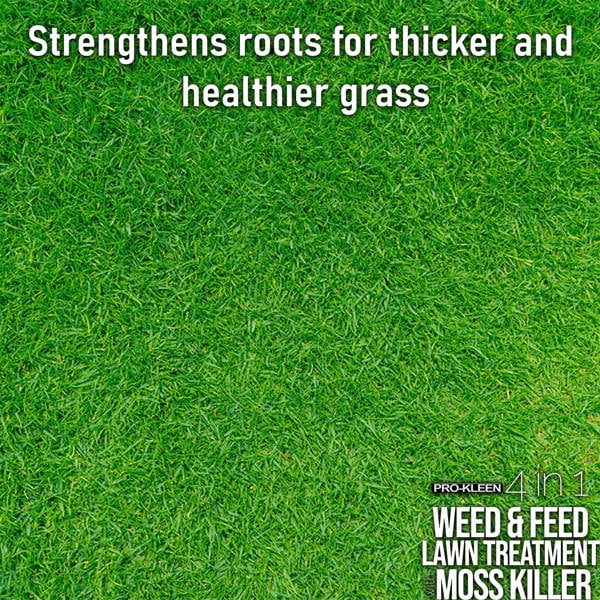 ProKleen Pro-Kleen 4 in 1 Weed and Feed Lawn Treatment with Moss Killer - Greens Grass, Kills Weeds & Moss & Fertilises Grass 10kg