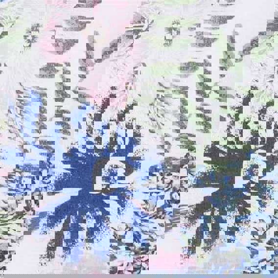 Pink | Floral 3/4 Flare Sleeve Curve Hem Top