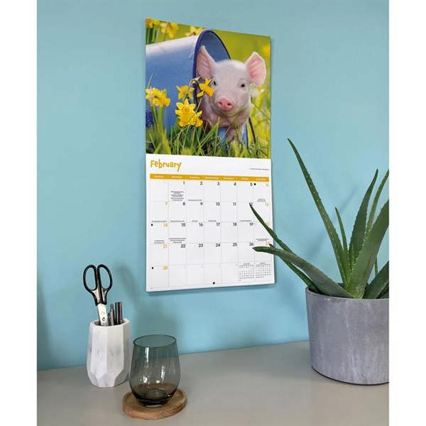 Mini Pigs Calendar 2027, Wall Calendars, Month To View, Animals, Gift