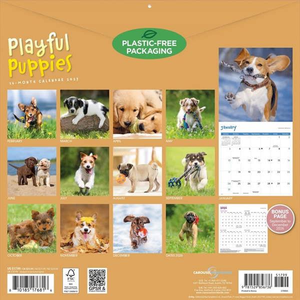 Playful Puppies Calendar 2027, Wall Calendars, Month To View, Dogs, Gift