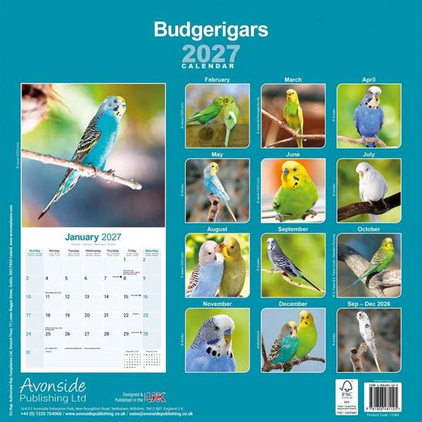 Budgerigars Calendar 2027, Wall Calendars, Month To View, Animals, Gift