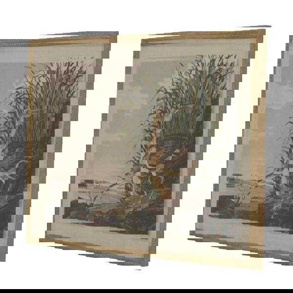 Hill Interiors Flora & Fauna Collection Picture Beaded Lined Framed Wall Art - Brown/White/Green - 