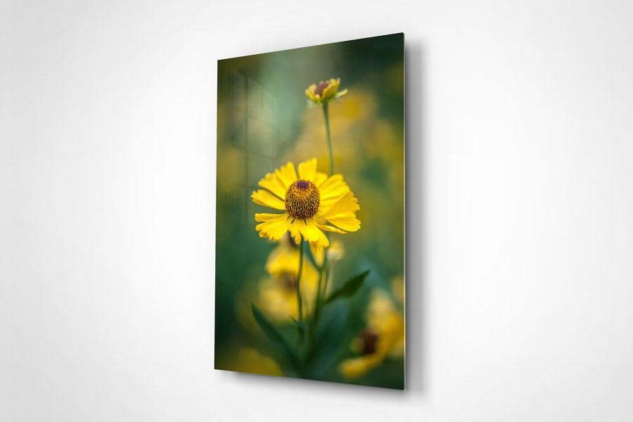 golden flower photographic art print