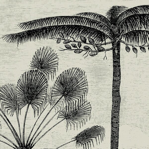 Love Frankie Vintage Palms Wall Hanging