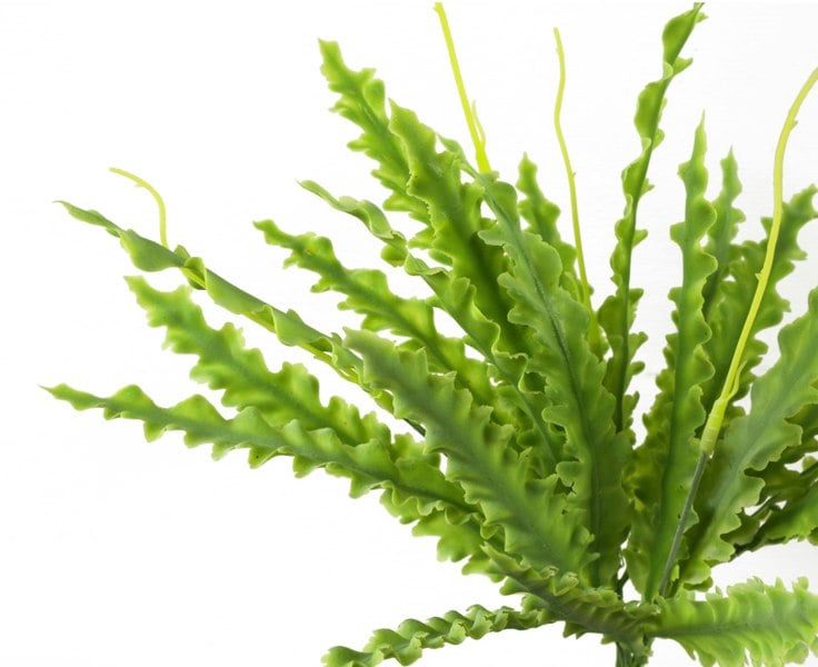 Leaf 40cm Artificial Crocodile Fern Plant