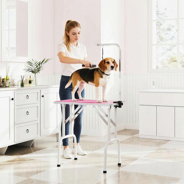 Pet Grooming Table