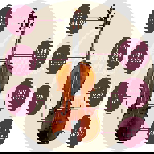 Forenza Secondo Series Violin - Full Size