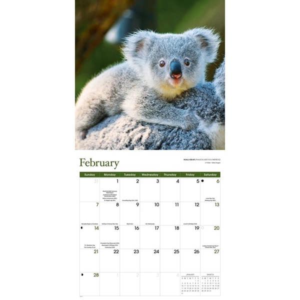 Baby Animals Calendar 2027, Wall Calendars, Month To View, Animals, Gift