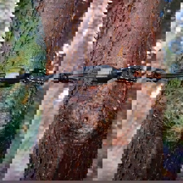 Air Bivvy All Weather Shelter & Hammock ABAW-LS-04