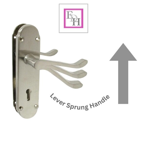 EDH Door Hardware Epsom Satin Nickel Internal Door Handle Set on 170mm Back Plate