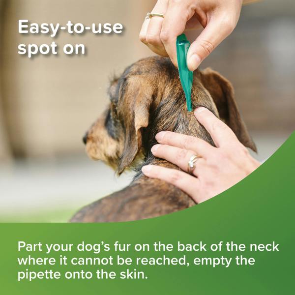 Beaphar Vetopure Small Dog Spot On - 3 Pipettes