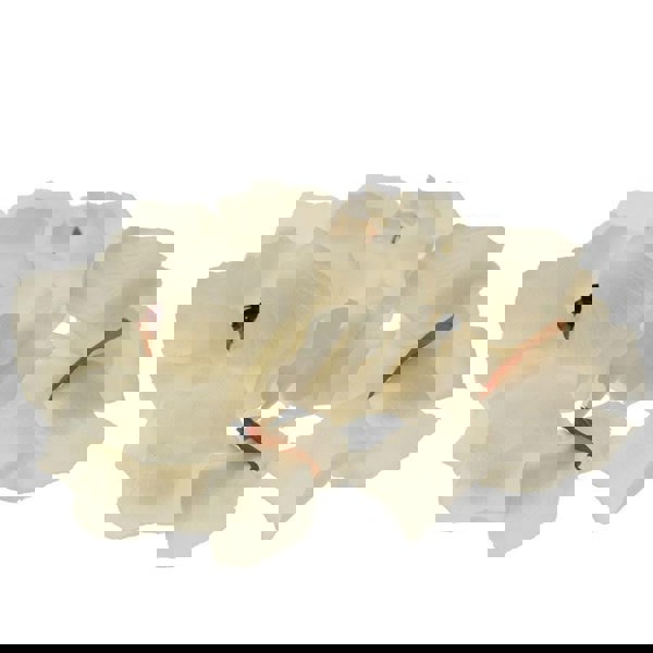 Cream Artificial Rose Petals