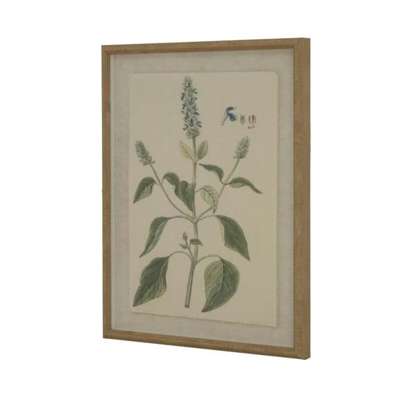 Hill Interiors Flora & Fauna Collection Salvia Beaded Linen Framed Wall Art - Brown/White/Green - 